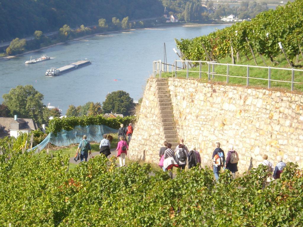 Hotel Gasthof Schuster Und Gaestehaus Rüdesheim am Rhein Extérieur photo